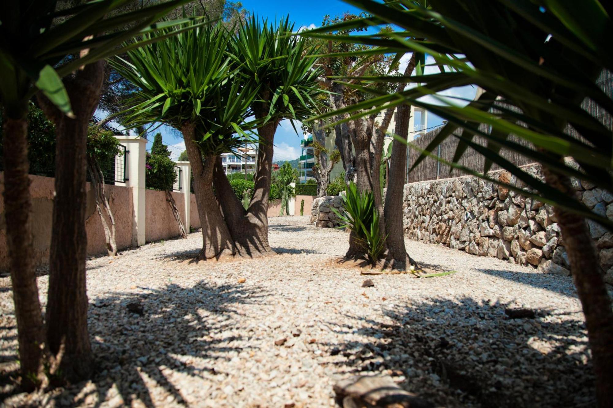 Naika Studios & Apartments Palma Nova  Exterior photo